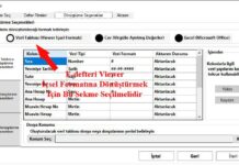 Elektronik Defteri (E-defter) Viewer İçsel Formatına Aktarma
